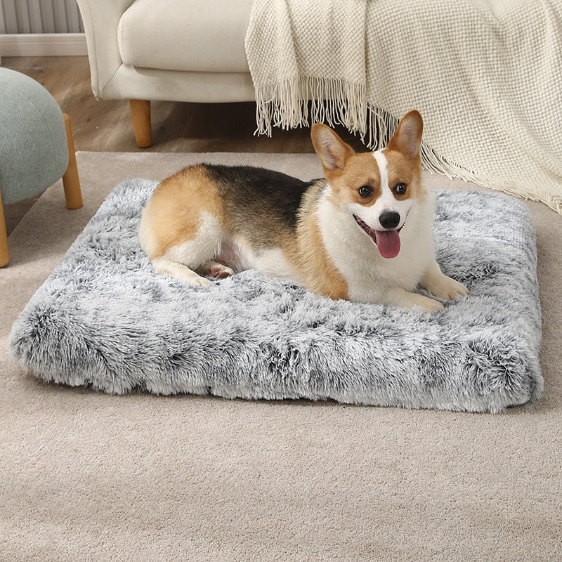 3d-wave-cotton-foam-mat-pet - Pawreta