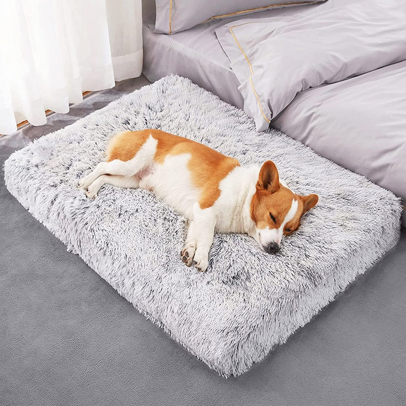 3d-wave-cotton-foam-mat-pet - Pawreta