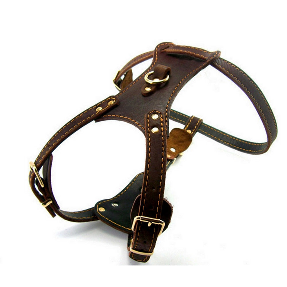 Genuine leather-dog-harness-vest - Pawreta