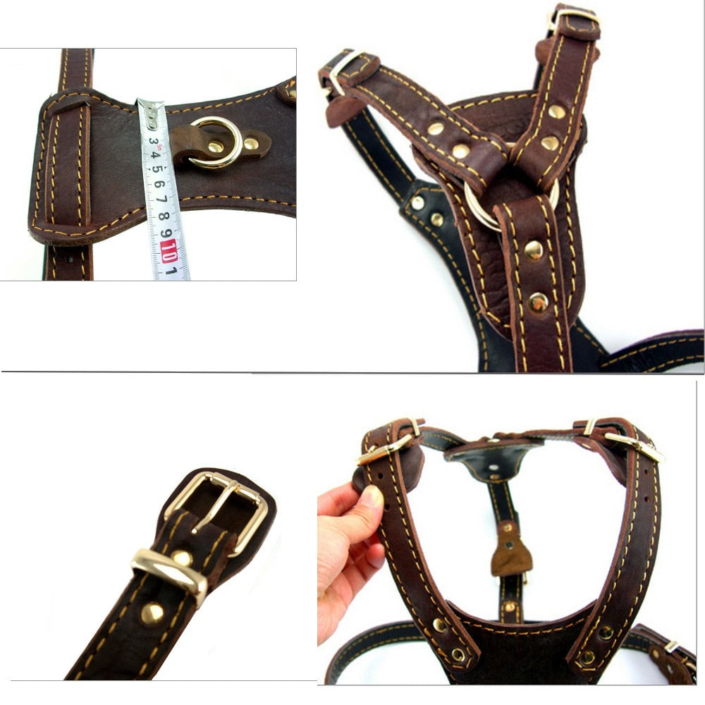 Genuine leather-dog-harness-vest - Pawreta