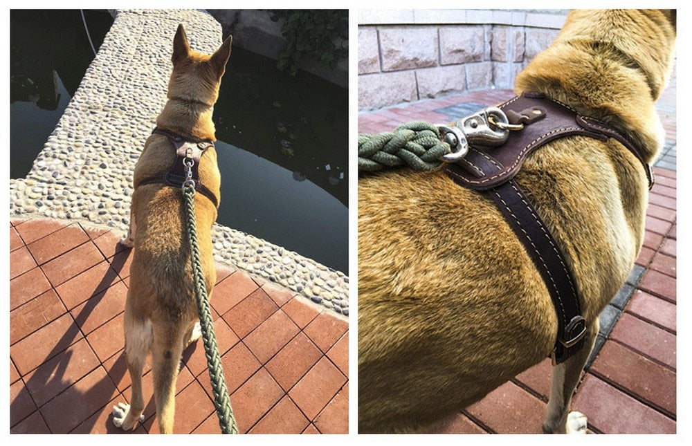 Genuine leather-dog-harness-vest - Pawreta