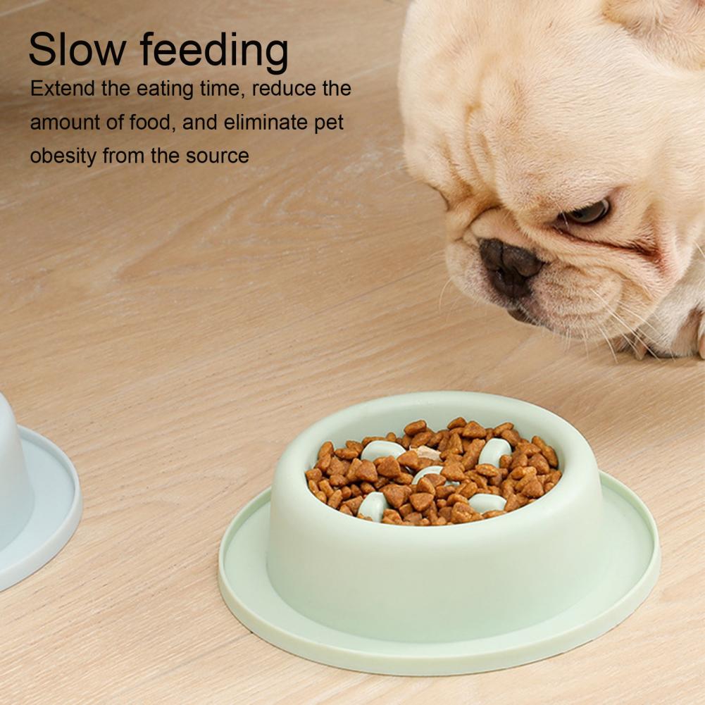 Safe Non-slip Pet slow-feeder-pet-bowl - Pawreta