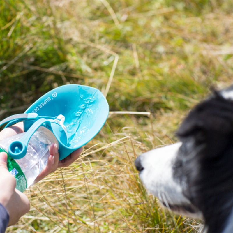 water-bottles-for-pets-soft-silicone-leaf-design - Pawreta