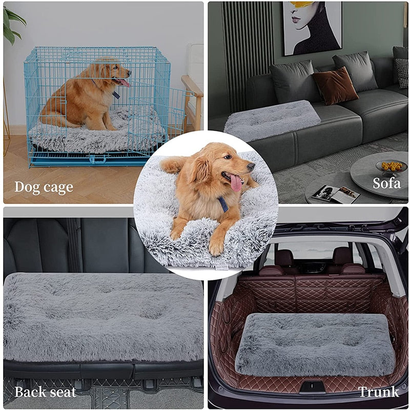 3d-wave-cotton-foam-mat-pet - Pawreta