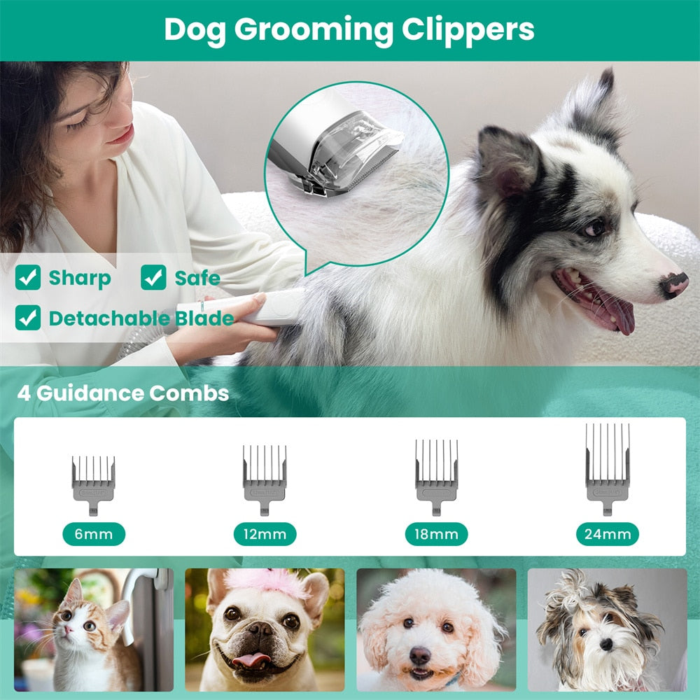 pet-grooming-vacuum - Pawreta