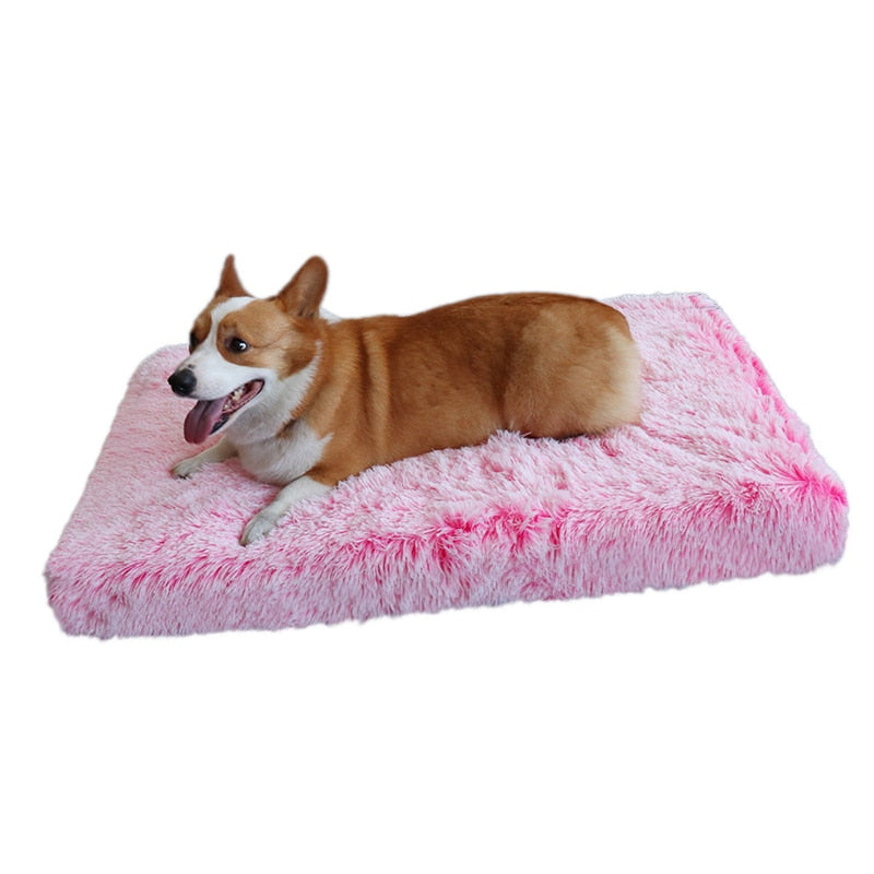 3d-wave-cotton-foam-mat-pet - Pawreta