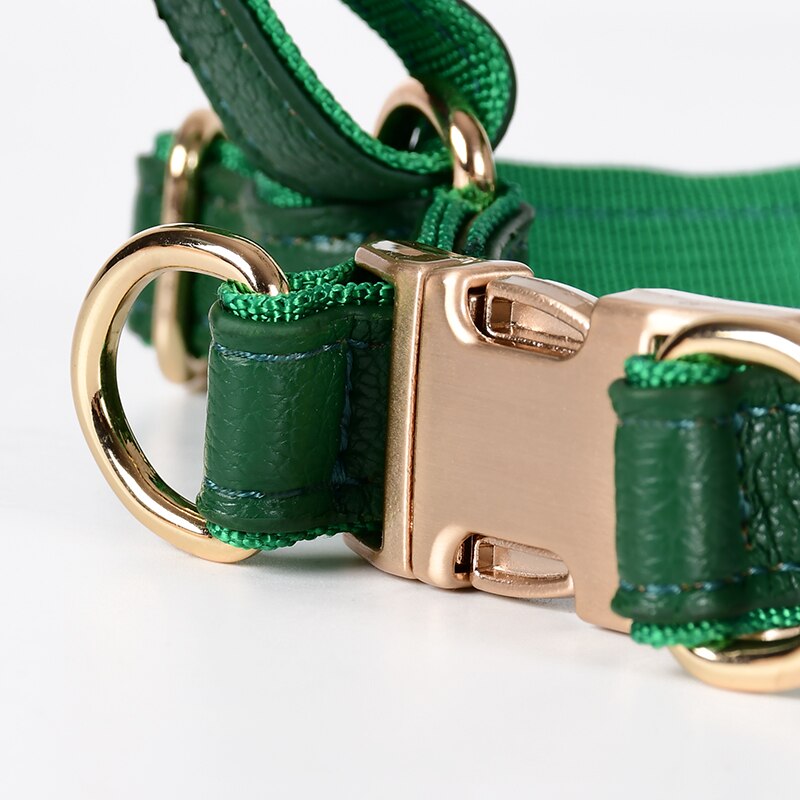 Luxury leather-dog-collar-leash-set - Pawreta