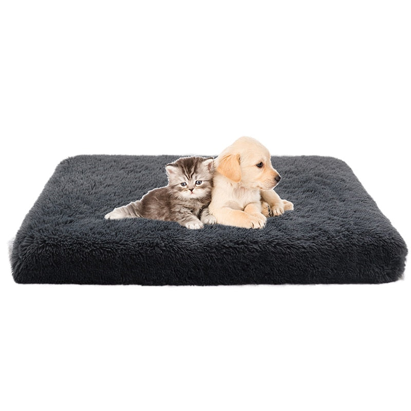 3d-wave-cotton-foam-mat-pet - Pawreta