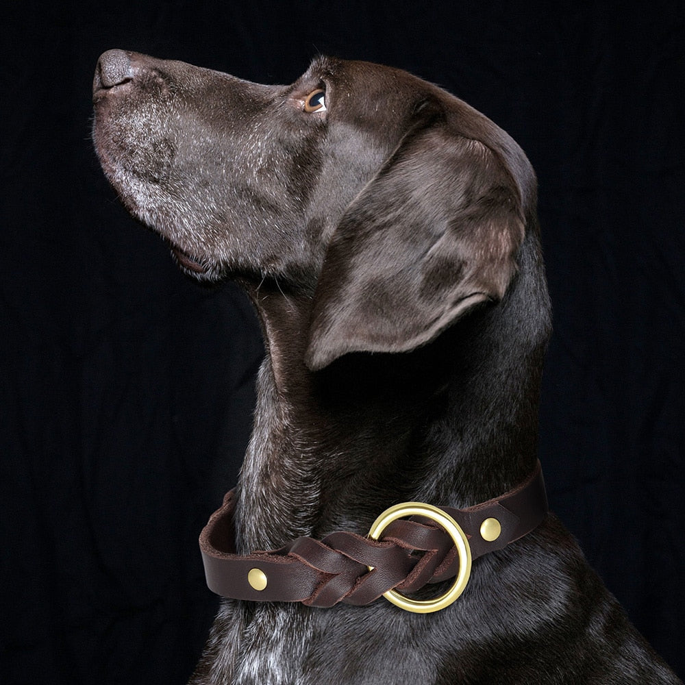 leather-braided-dog-collar-and-leash-sets - Pawreta