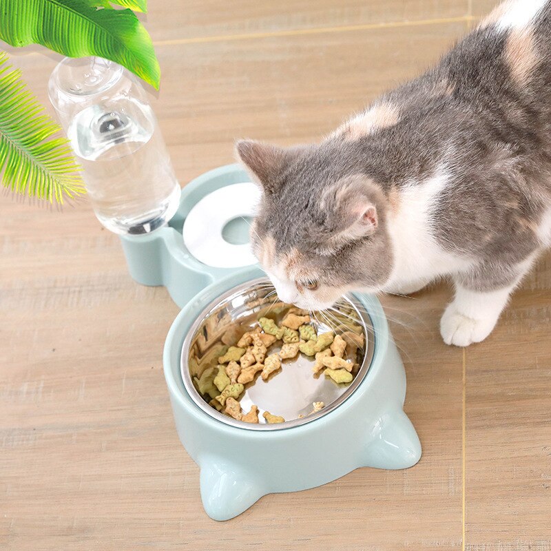 pet-container-bowl-fountain-automatic-food-water-feeder-container- Pawreta