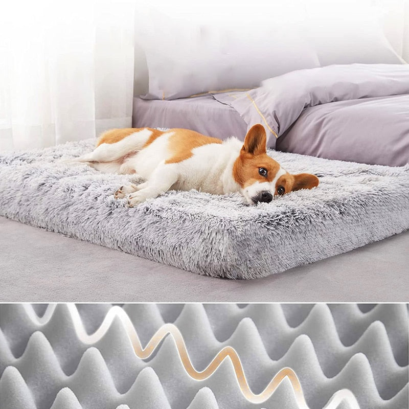 3d-wave-cotton-foam-mat-pet - Pawreta