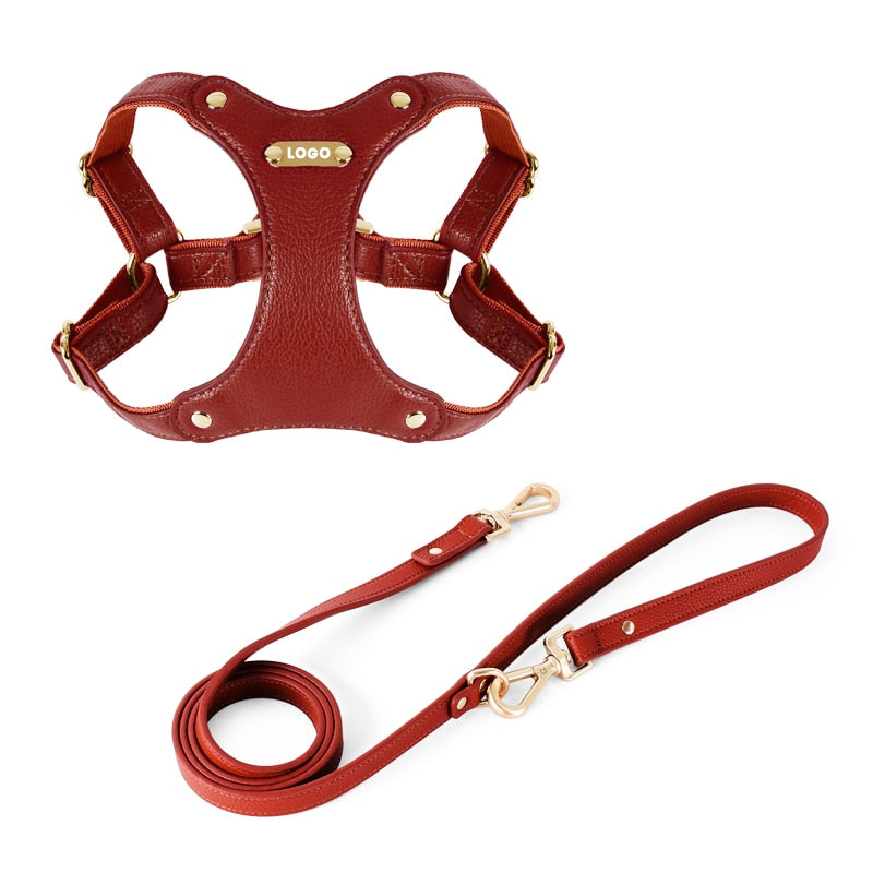 Luxury leather-dog-collar-leash-set - Pawreta