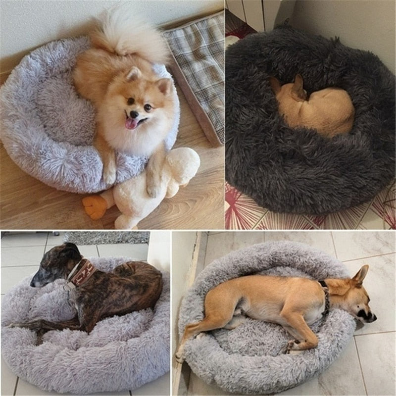 pet-bed-four-seasons - Pawreta