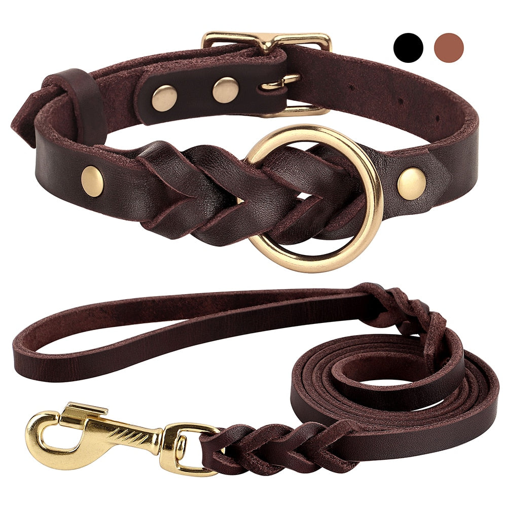 leather-braided-dog-collar-and-leash-sets - Pawreta