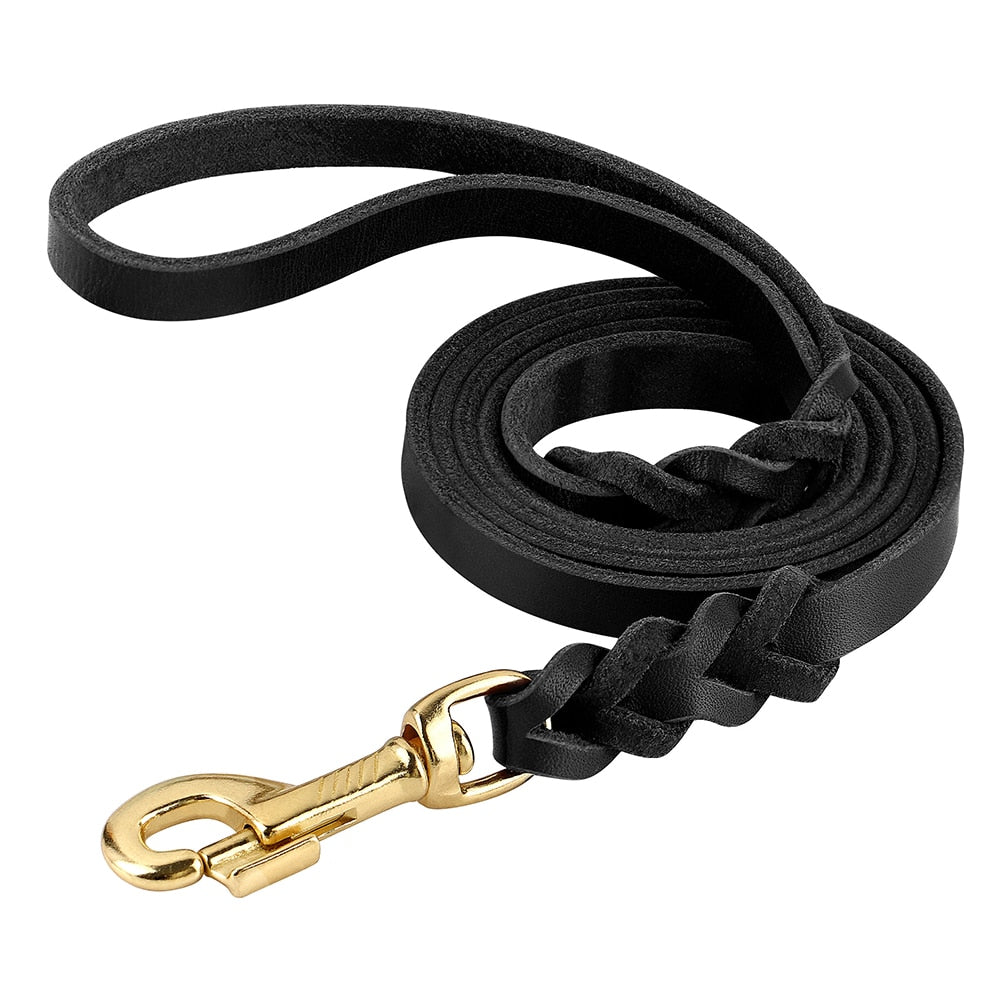 leather-braided-dog-collar-and-leash-sets - Pawreta