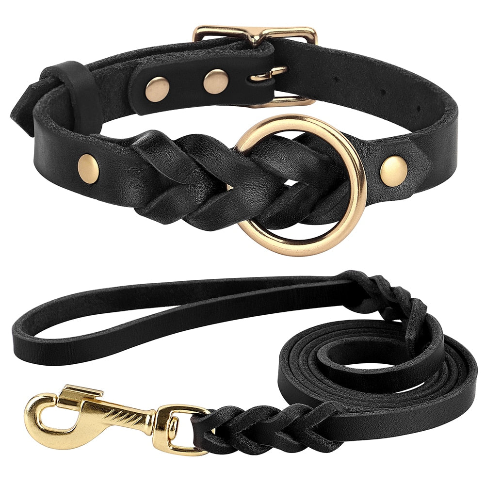 leather-braided-dog-collar-and-leash-sets - Pawreta