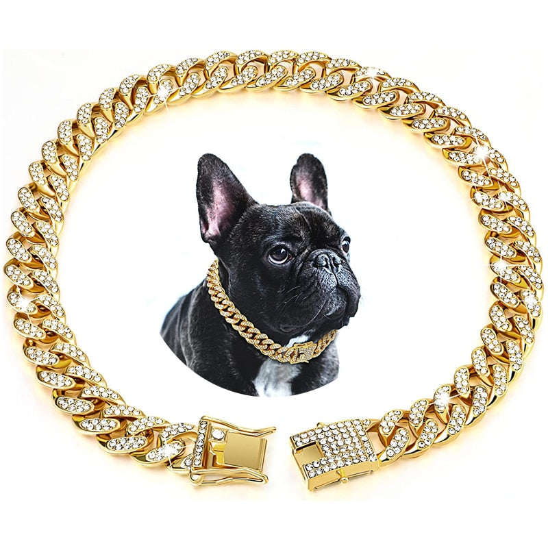 Luxury diamond-dog-chain-collar - Pawreta