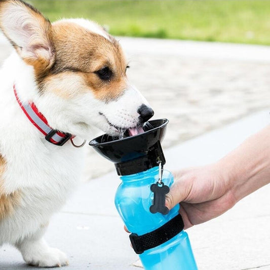 extrusion-small-dog-travel-water-bottle - Pawreta