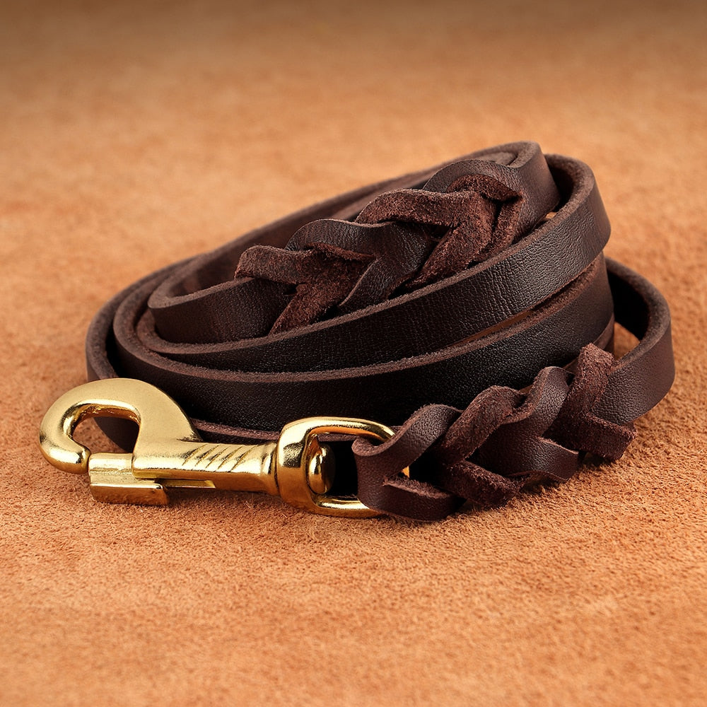 leather-braided-dog-collar-and-leash-sets - Pawreta