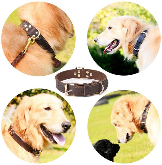 leather-dog-collars - Pawreta