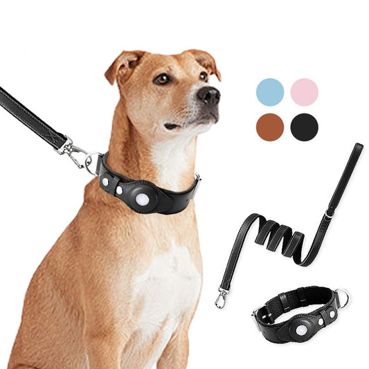 luxury-large-service-dog-leash-and-collar-adjustable - Pawreta