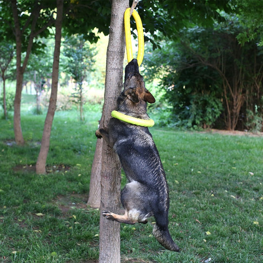 pet-ball-launcher-training-ring-puller-resistant-bite-floating-toy - Pawreta