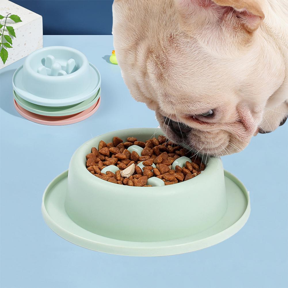 Safe Non-slip Pet slow-feeder-pet-bowl - Pawreta